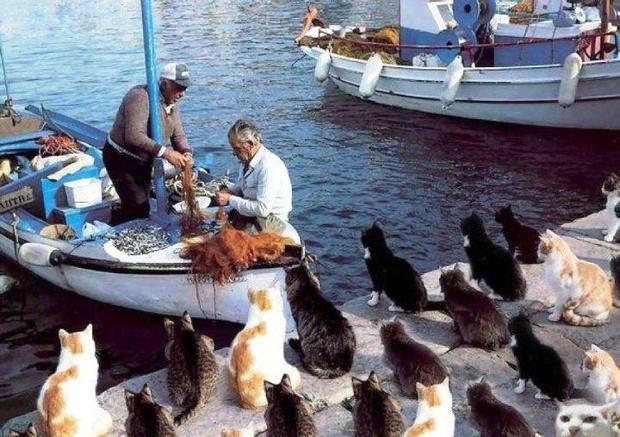 Haioase si sexi - la-pescuit-159c9eca3ce5a0376.jpg